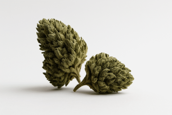 Fleurs CBG