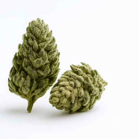 Fleurs CBD